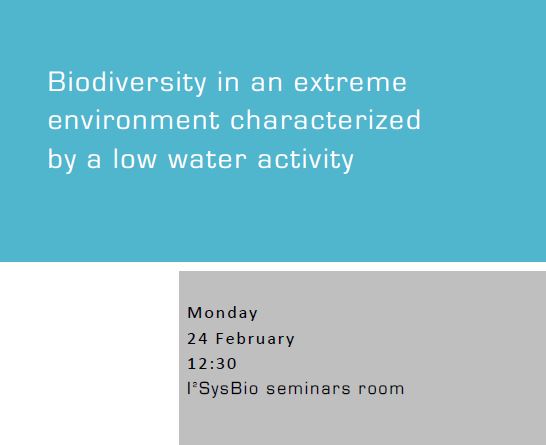 Biodiversity in an extreme environment characterized by a low water activity